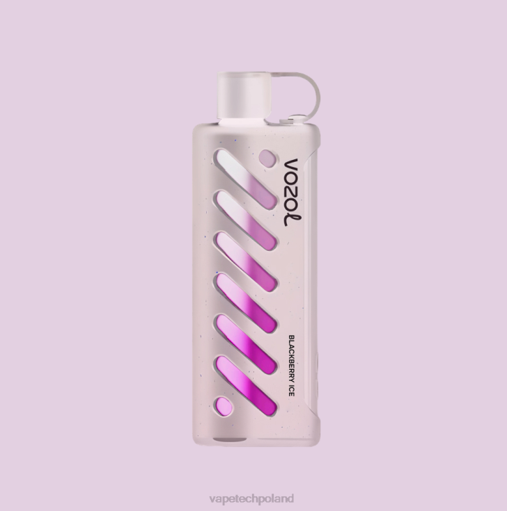 Vape Polska - VOZOL szisza sprzętowa 25000 6H2N41