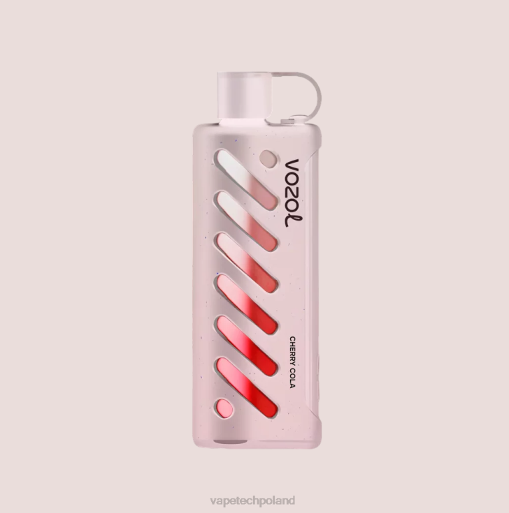 Vape Polska - VOZOL szisza sprzętowa 25000 6H2N41