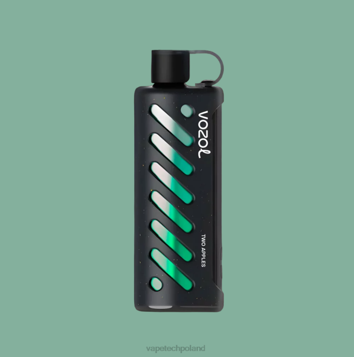 Vape Polska - VOZOL szisza sprzętowa 25000 6H2N41