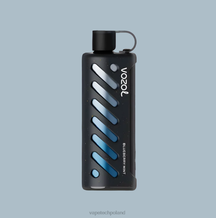 Vape Polska - VOZOL szisza sprzętowa 25000 6H2N41