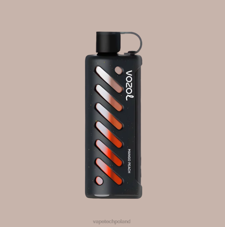 Vape Polska - VOZOL szisza sprzętowa 25000 6H2N41