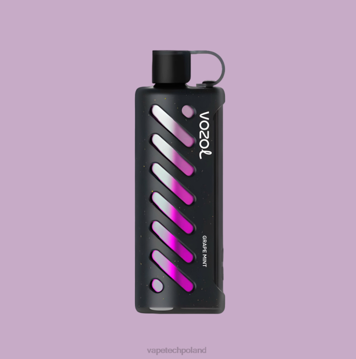 Vape Polska - VOZOL szisza sprzętowa 25000 6H2N41