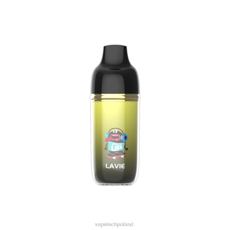 Vape Polska - lód mango 8L6HD241 LAVIE Monster 6000 zaciągnięć
