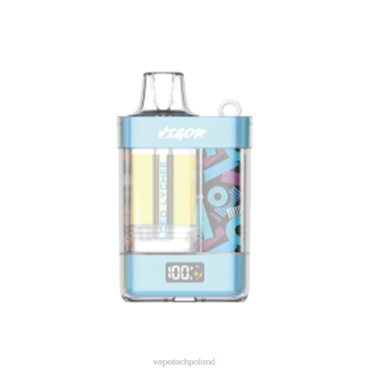 Vape Polska - mrożone liczi 8L6HD4 LAVIE VIGOR 15 000 zaciągnięć