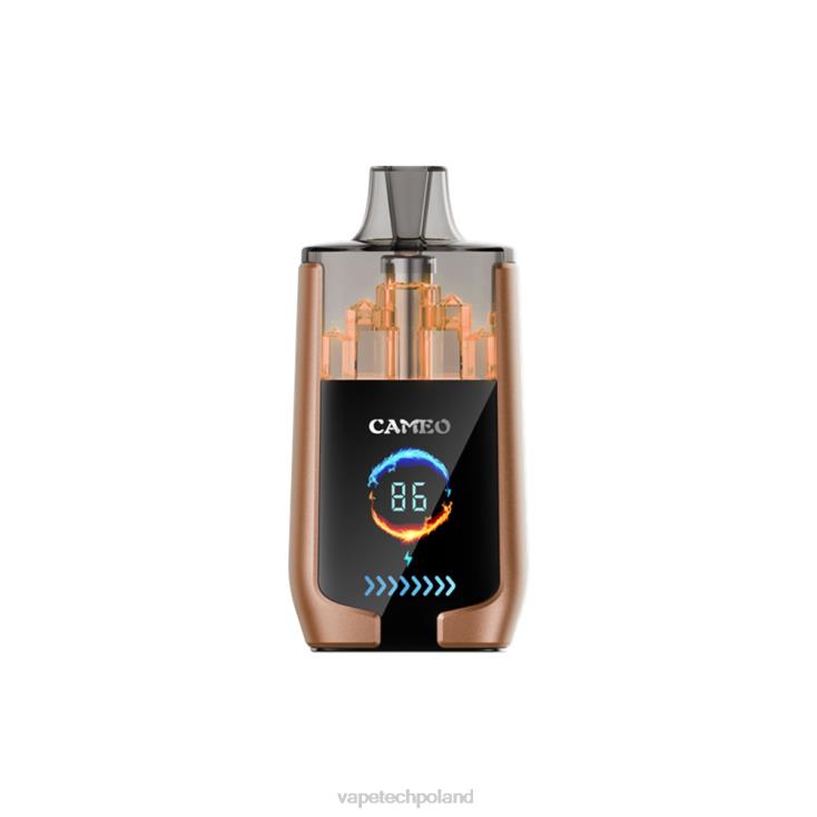 Vape Shop Warszawa - lód kawowy 8L6HD18 LAVIE CAMEO 30 000 zaciągnięć