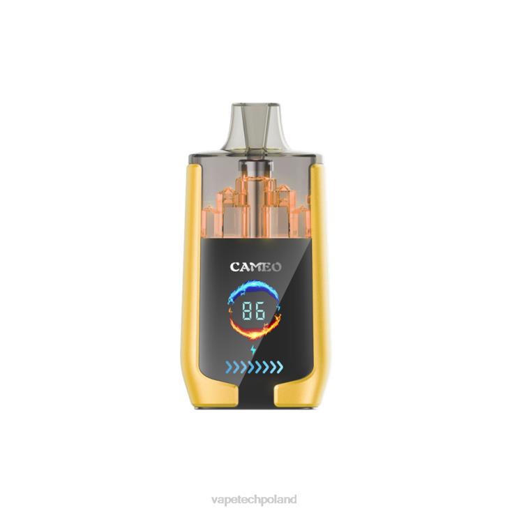 Vape Shop Warszawa - lód mango 8L6HD21 LAVIE CAMEO 30 000 zaciągnięć