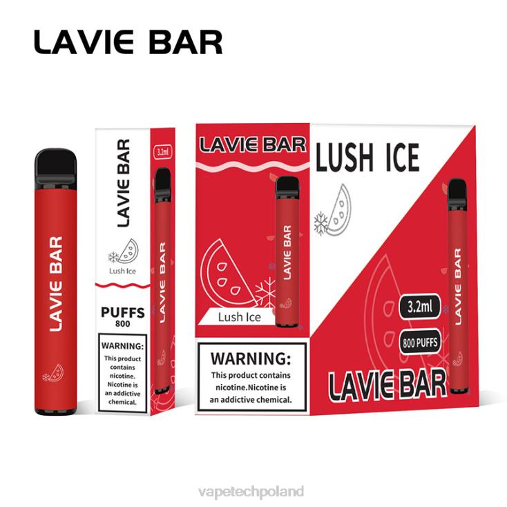 Vape Tech Poland - bujny lód 8L6HD308 LAVIE BAR 800 zaciągnięć