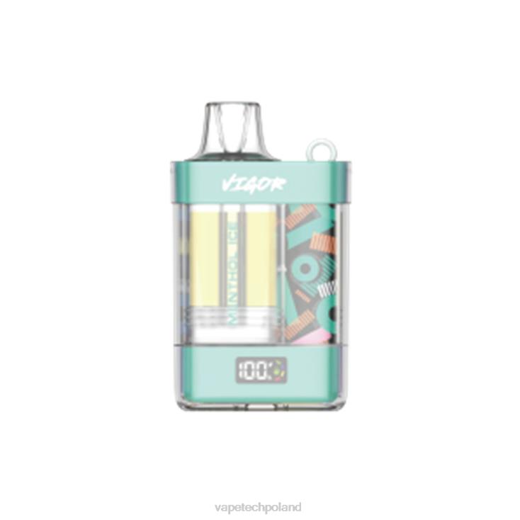 Vape Tech Poland - lód mentolowy 8L6HD2 LAVIE VIGOR 15 000 zaciągnięć