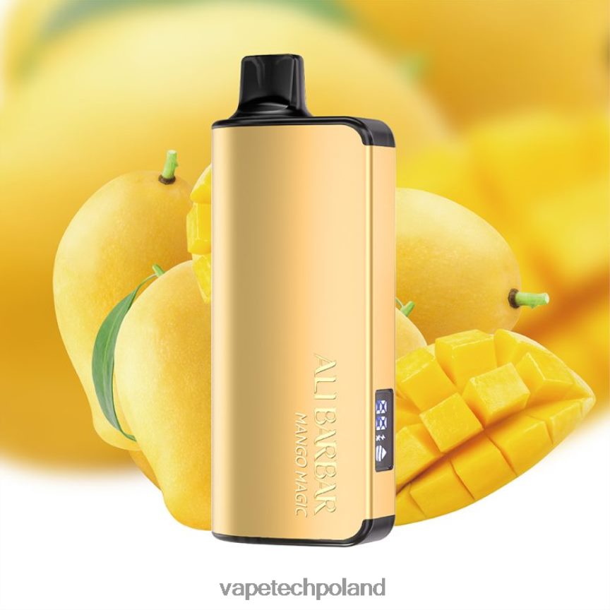 Vape Shop Warszawa - Alibarbar Ingot 20000 jednorazowych waporyzatorów magia mango 48PF8648