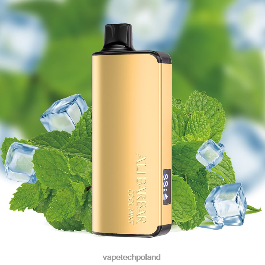 Vape Shop Warszawa - Alibarbar Ingot 9000 jednorazowych waporyzatorów fajna mięta 48PF8618