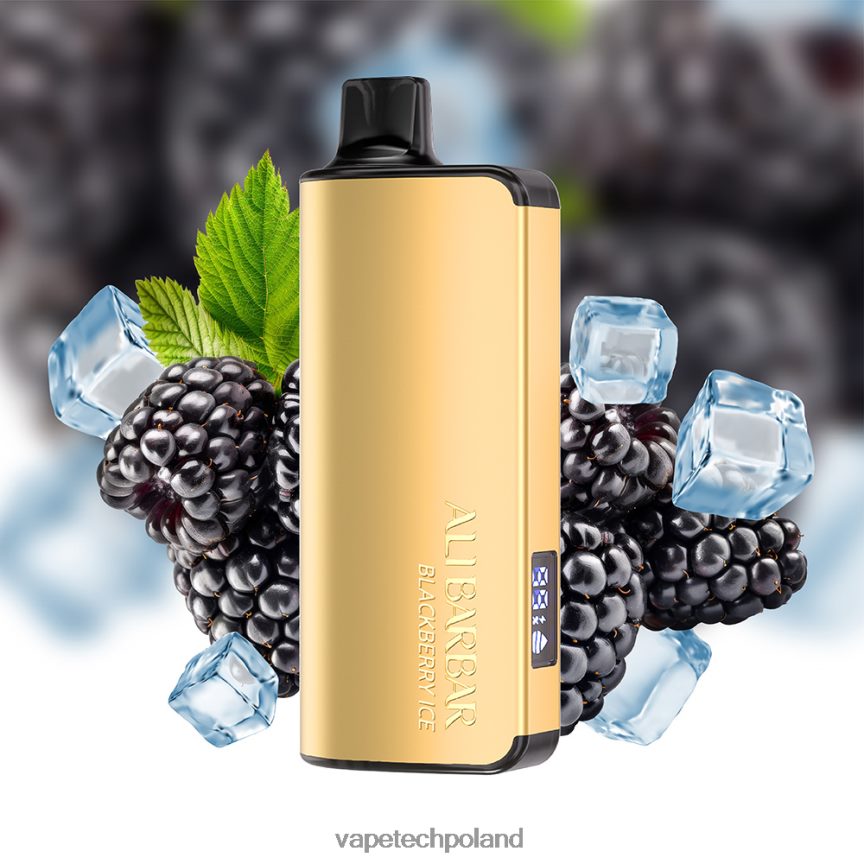 Vape Shop Warszawa - Alibarbar Ingot 9000 jednorazowych waporyzatorów lód jeżynowy 48PF8630