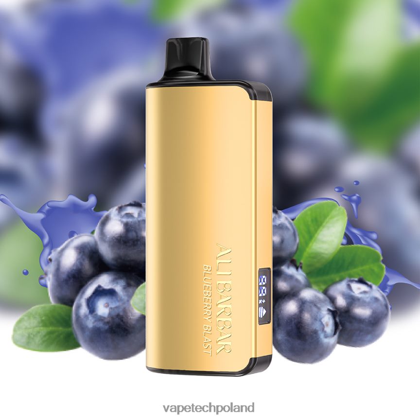 Vape Shop Warszawa - Alibarbar Ingot 9000 jednorazowych waporyzatorów wybuch jagód 48PF8615