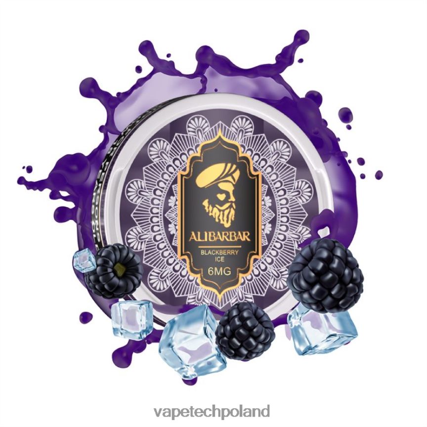 Vape Polska - Alibarbar woreczki nikotynowe lód jeżynowy 48PF8697