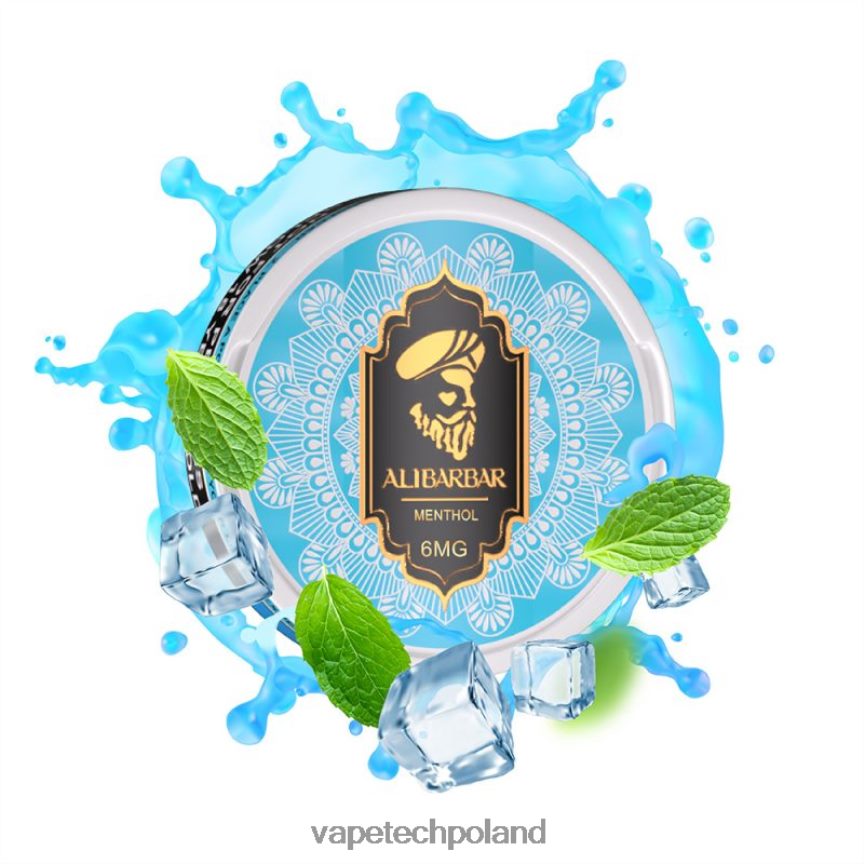 Vape Polska - Alibarbar woreczki nikotynowe mentol 48PF8688