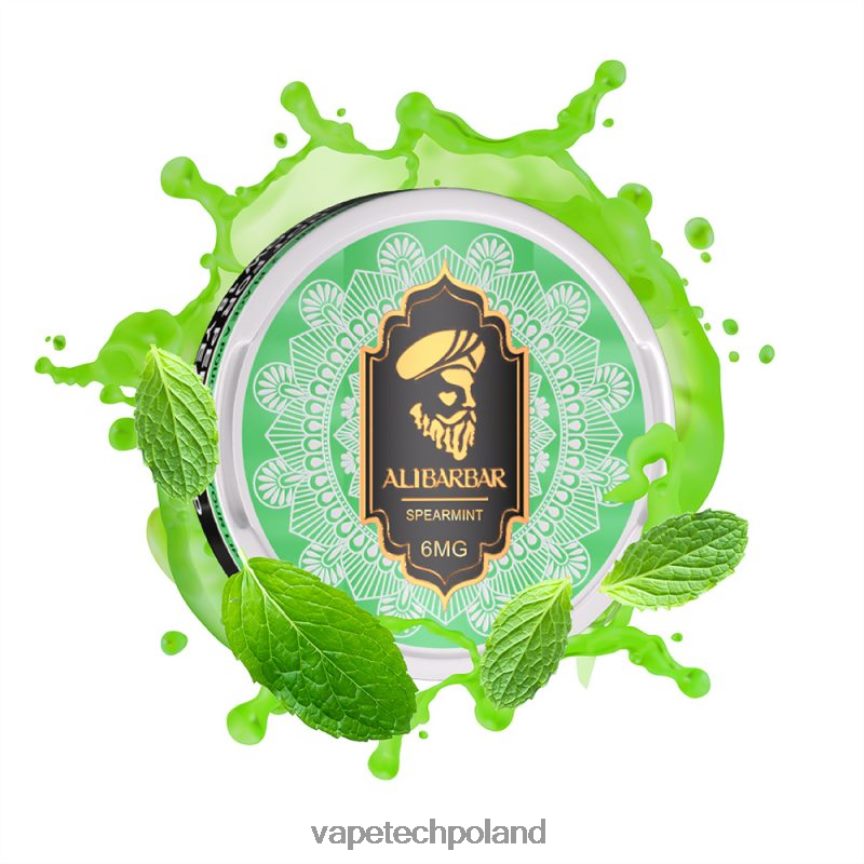 Vape Shop Warszawa - Alibarbar woreczki nikotynowe mięta 48PF8690