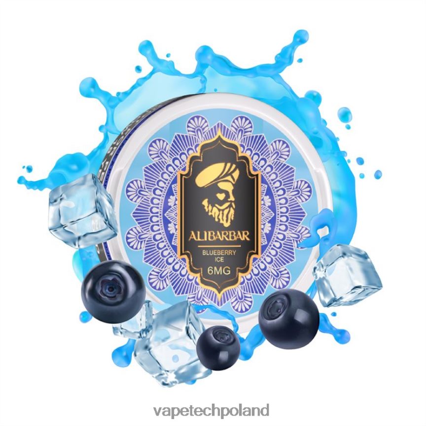 Vape Tech Poland - Alibarbar woreczki nikotynowe lód jagodowy 48PF8695